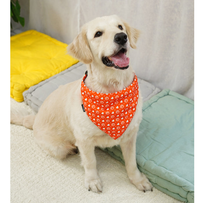 BearHugs Valentine's Themed Bandana for Dogs