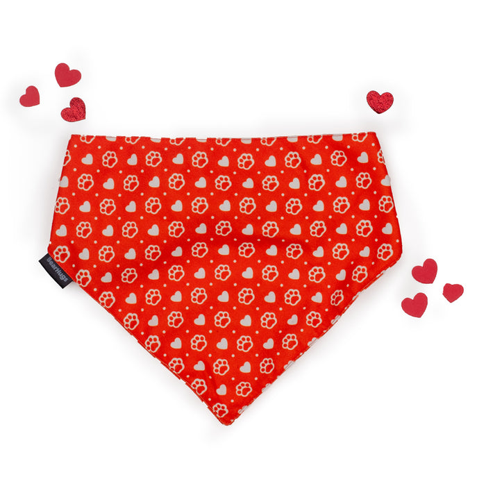 BearHugs Valentine's Themed Bandana for Dogs