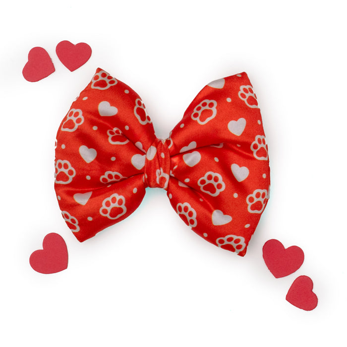 BearHugs Valentine's Themed Bow Tie for Dogs