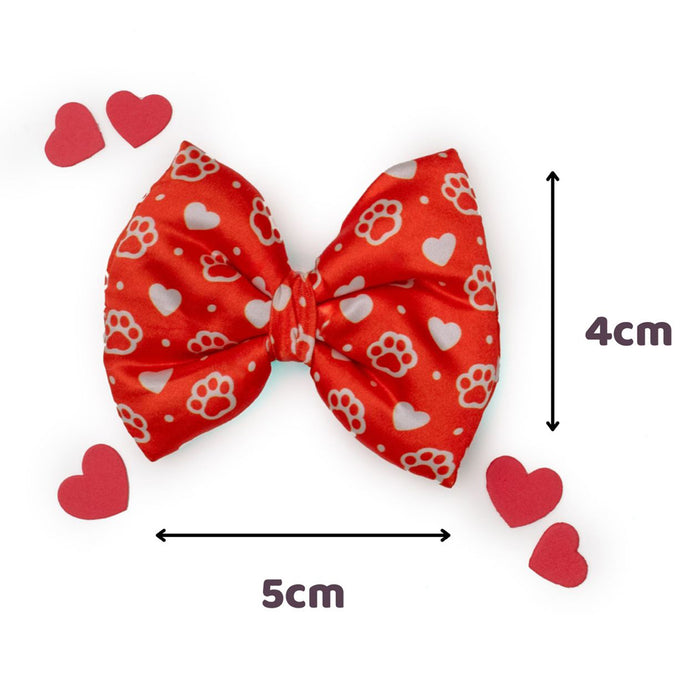 BearHugs Valentine's Themed Bow Tie for Dogs