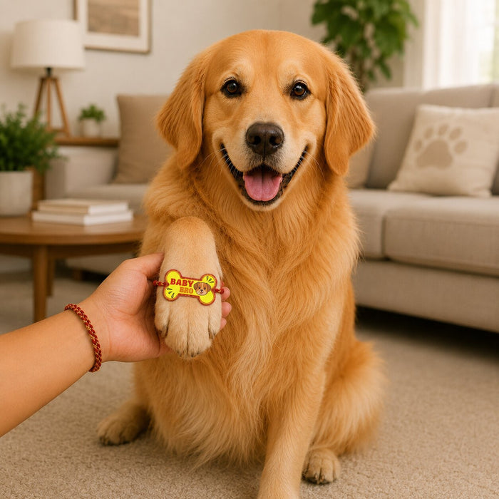 BearHugs Pet Band - Baby Bro Rakhi for Dogs