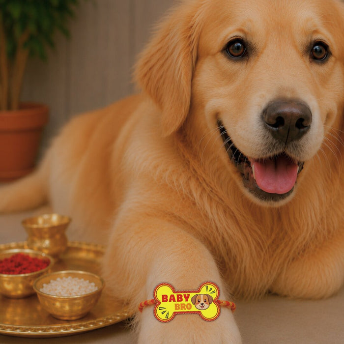BearHugs Pet Band - Baby Bro Rakhi for Dogs