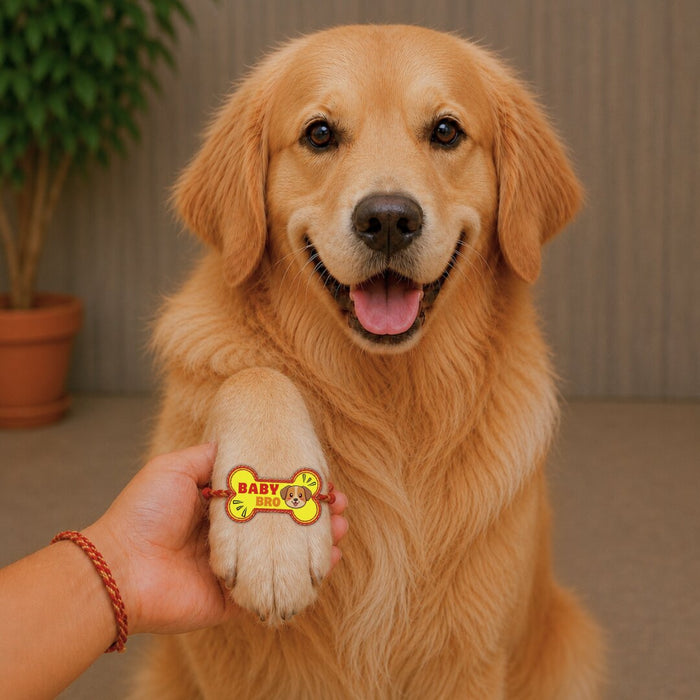 BearHugs Pet Band - Baby Bro Rakhi for Dogs