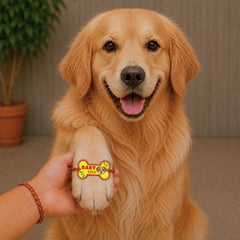 BearHugs Pet Band - Baby Bro Rakhi for Dogs
