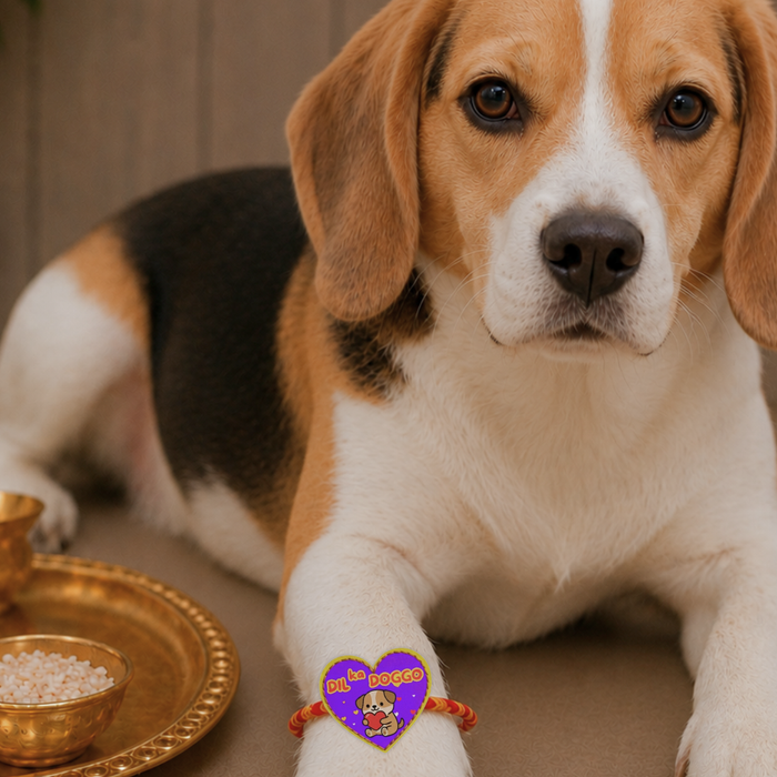 BearHugs Pet Band - Dil ka Doggo Rakhi for Dogs