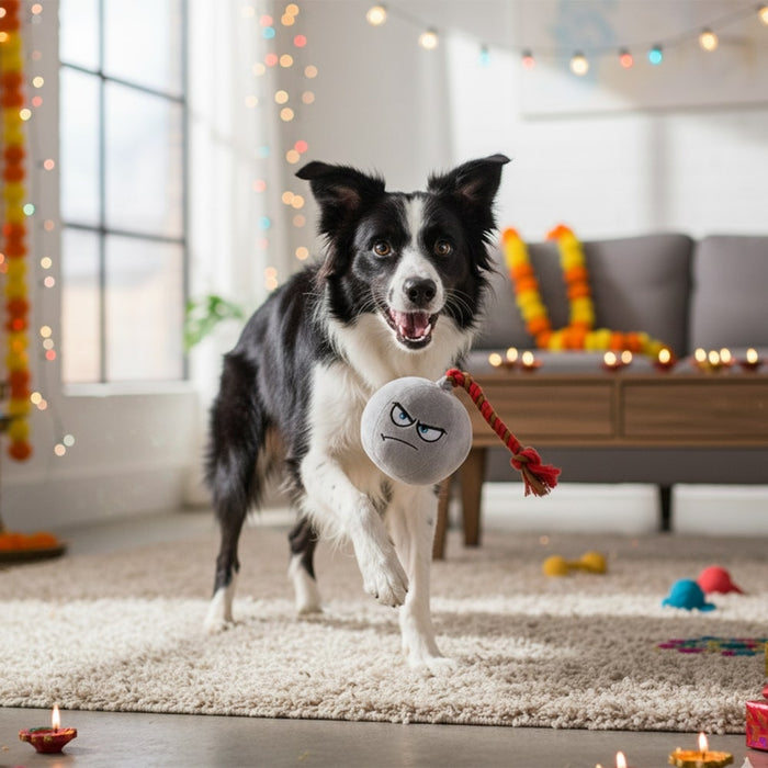 BearHugs Dynamutt Pataka Squeaky Plush Toy for Dogs