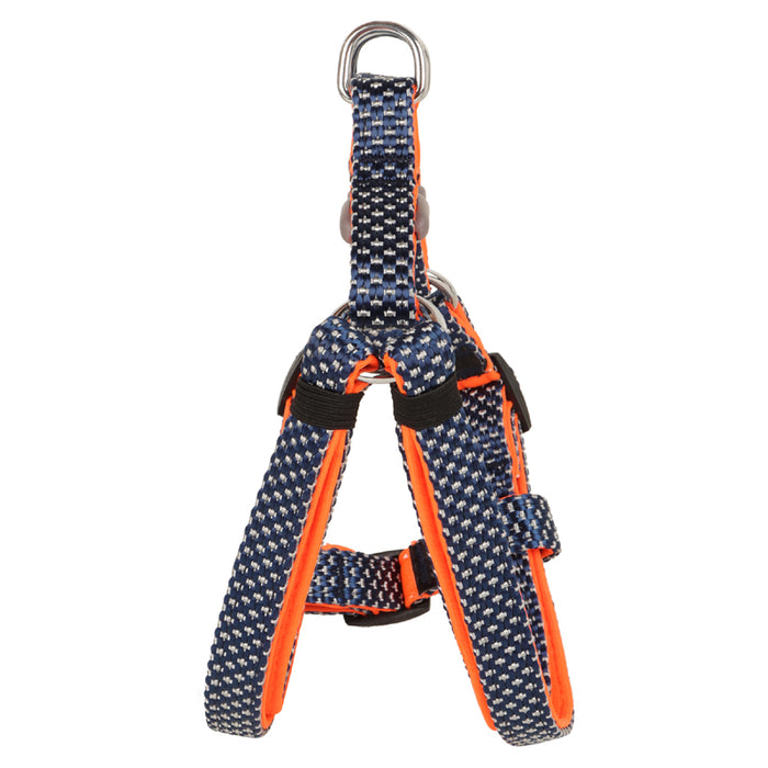 BearHugs Essential Padded with Lock Adjustable Step in Harness for Dog - Blue/Orange