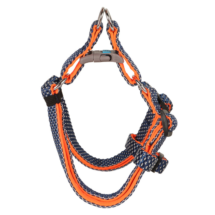 BearHugs Essential Padded with Lock Adjustable Step in Harness for Dog - Blue/Orange