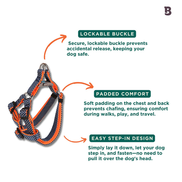 BearHugs Essential Padded with Lock Adjustable Step in Harness for Dog - Blue/Orange