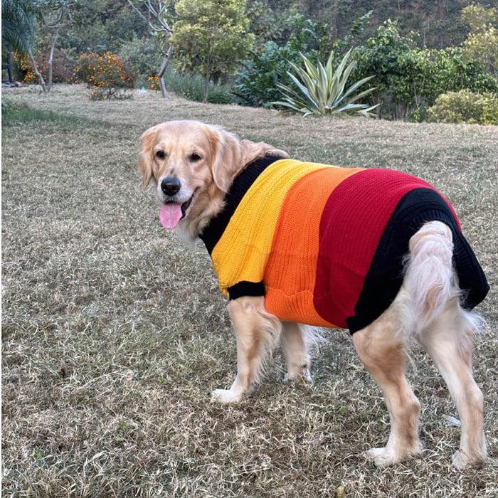 BearHugs Purl Knit Dog Sweater - Multicolour