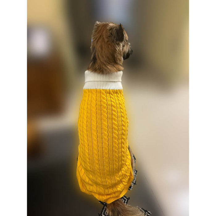 BearHugs Cable Knit Dog Sweater - Yellow