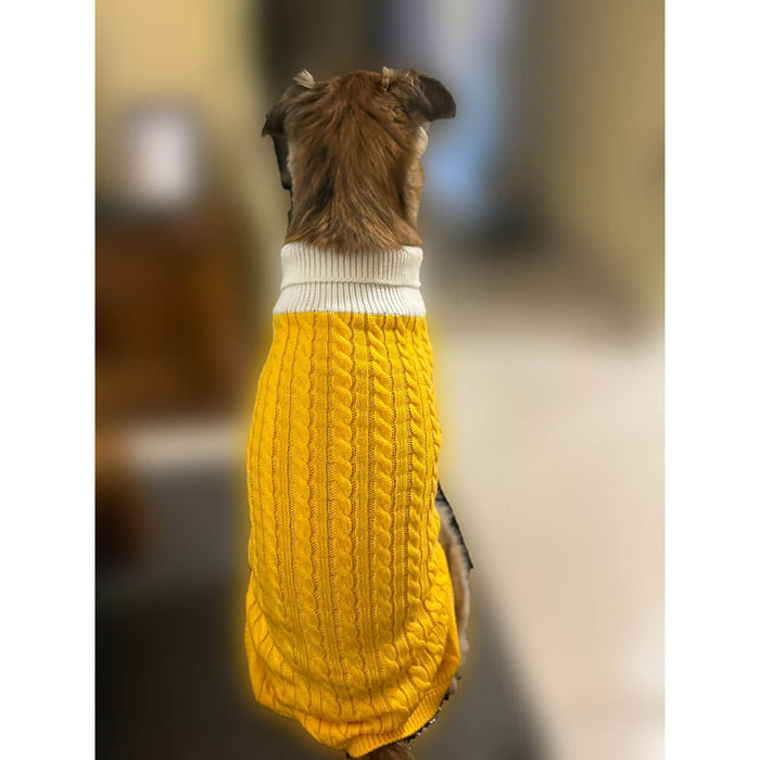 BearHugs Cable Knit Dog Sweater - Yellow