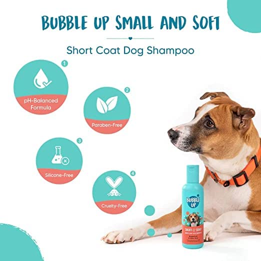 Bubble Up Short and Silky Short Coat Dog Shampoo