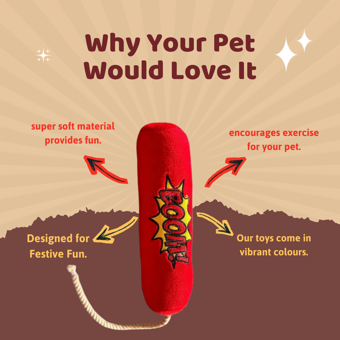 BearHugs Pawtaka Squeaky Plush Toy for Pets