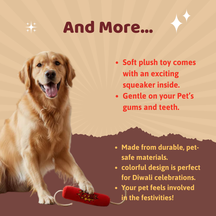 BearHugs Pawtaka Squeaky Plush Toy for Pets