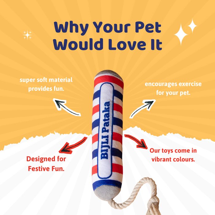 BearHugs Bijli Pawtaka Squeaky Plush Toy for Dogs