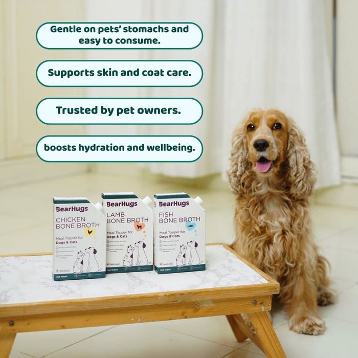 Bearhugs Chicken Bone Broth Meal Topper for Dogs and Cats 100 ML