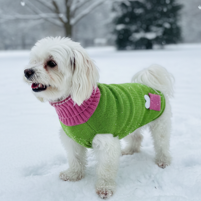 BearHugs Bone in Pocket Print Pet Sweater for Dogs