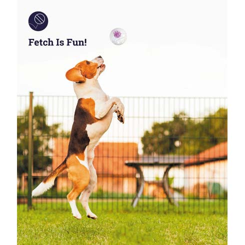 Petstages Nubbiez Large Treat & Squeak Ball Dog Toy - Purple