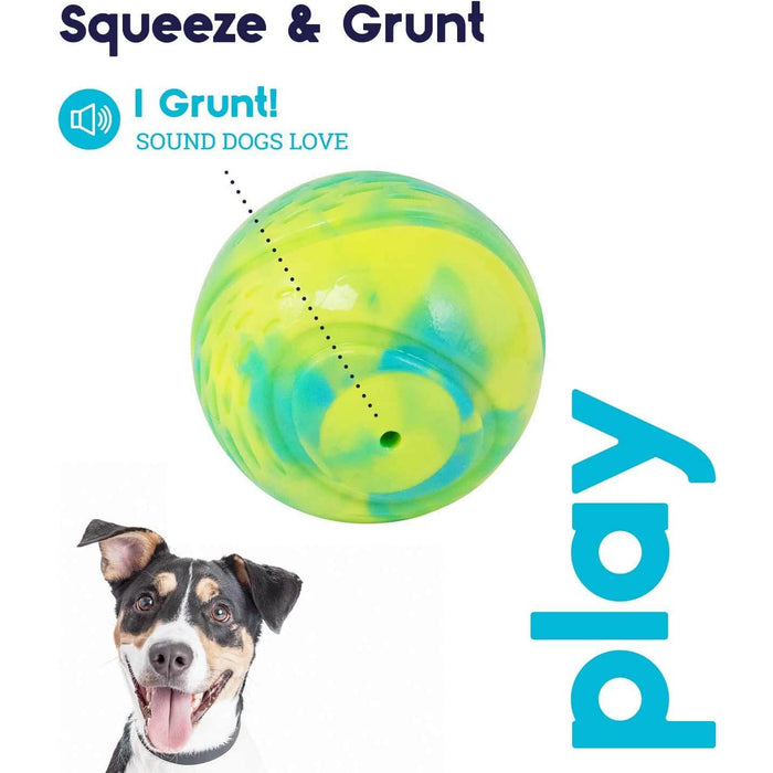 Petstages 3.25 Grunt N Punt Tennis Ball Dog Toy