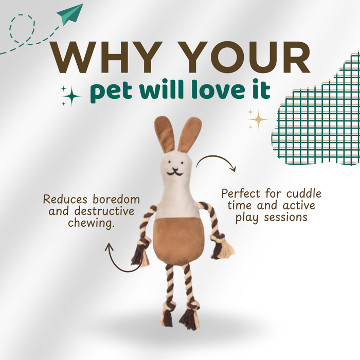 BearHugs Tug & Cuddle Rope Plush Toy for Dogs