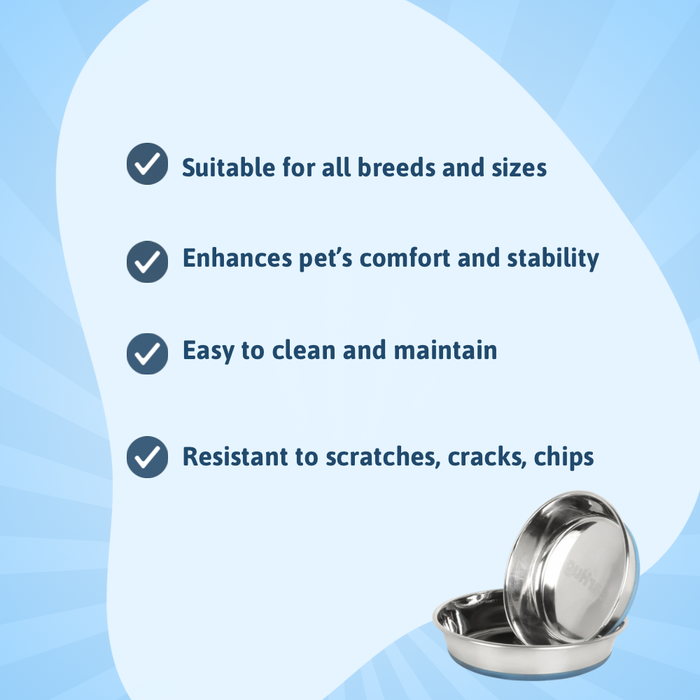 BearHugs Anti Skid Stainless Steel Cat Bowl