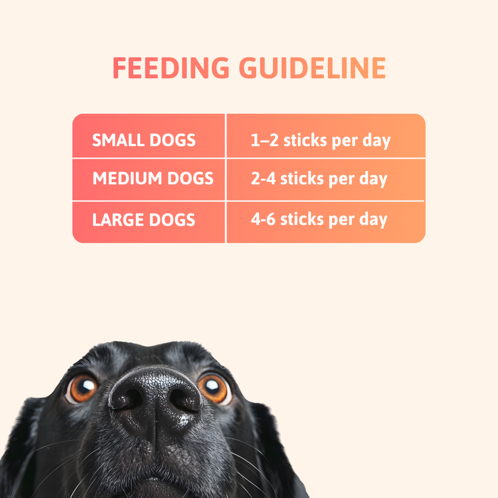 BearHugs Soft & Chewy Sticks Real Chicken Treat for Dogs - 70gm