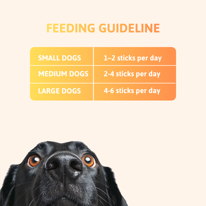 BearHugs Soft & Chewy Sticks Chicken & Pumpkin Treat for Dogs - 70gm