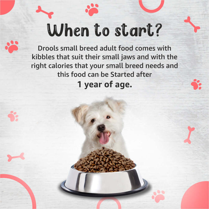 Drools Small Breed Adult Premium Dog Dry Food