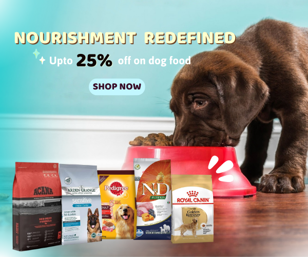 Online Pet Store for Pet Products India Pet Accessories Stores