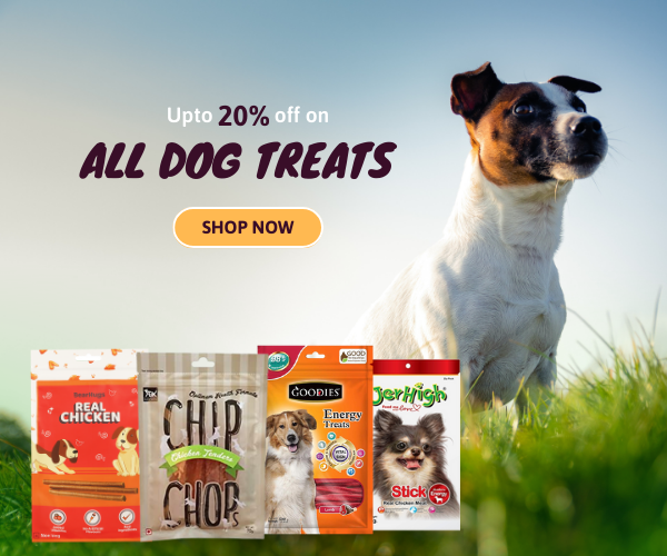 Online Pet Store for Pet Products India Pet Accessories Stores