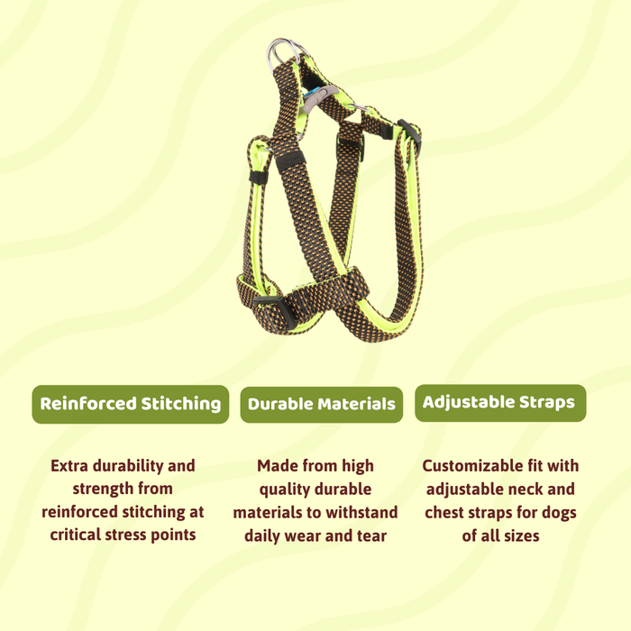 BearHugs Essential Padded with Lock Adjustable Step in Harness for Dog - Black/Lime