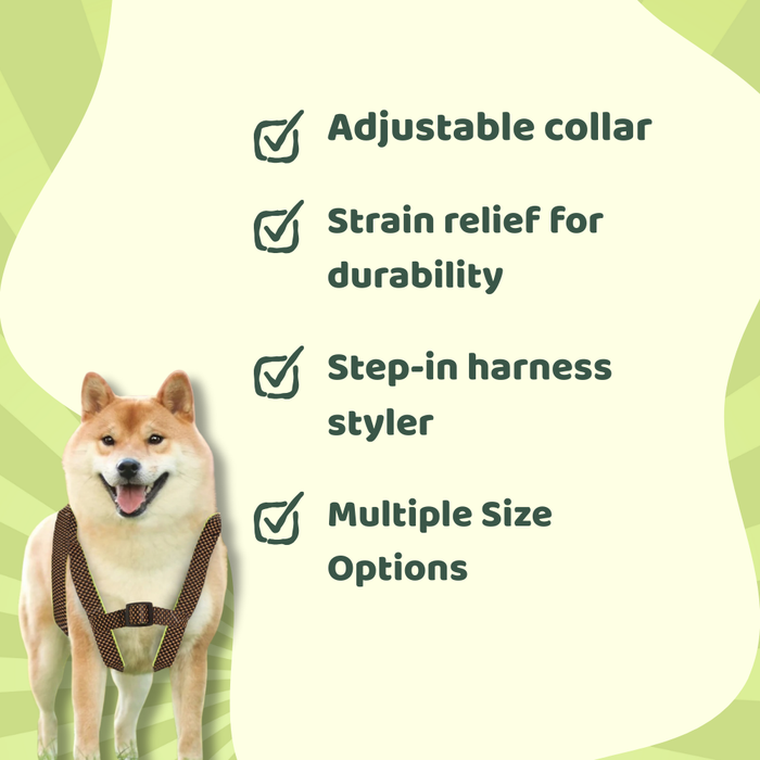 BearHugs Essential Padded with Lock Adjustable Step in Harness for Dog - Black/Lime