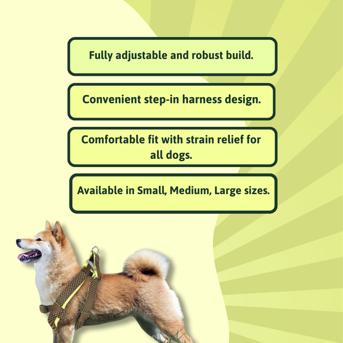 BearHugs Essential Padded with Lock Adjustable Step in Harness for Dog - Black/Lime