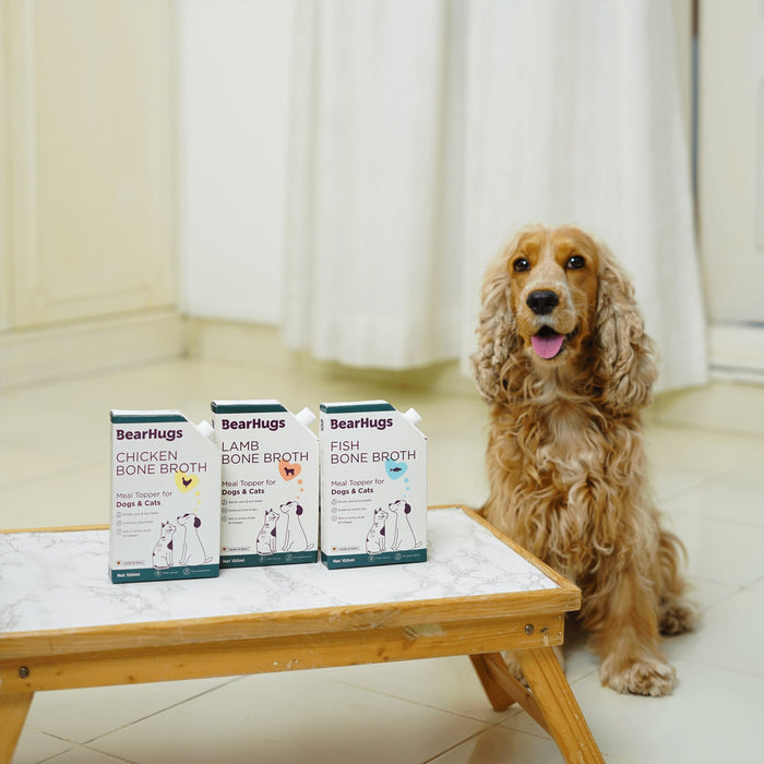 Bearhugs Fish Bone Broth Meal Topper for Dogs and Cats 100 ML