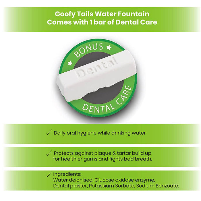 Goofy Tails 2 Litre H2O Water Fountain Dispenser with Dental Care Tablet and Carbon Filter Pad