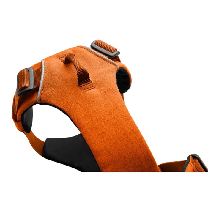 Ruffwear Front Range Dog Harness Campfire Orange