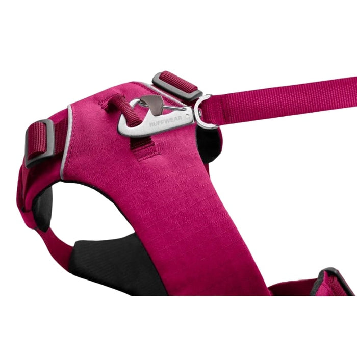 Ruffwear Front Range Dog Harness Hibiscus Pink