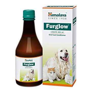 Himalaya Furglow Dog