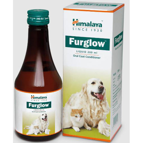 Himalaya Furglow Dog