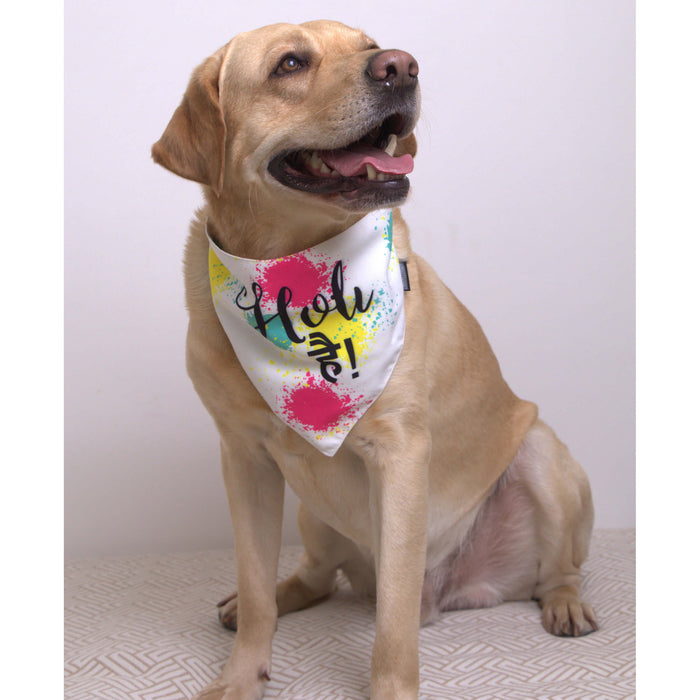 BearHugs Exclusive Holi Bandana for Dogs