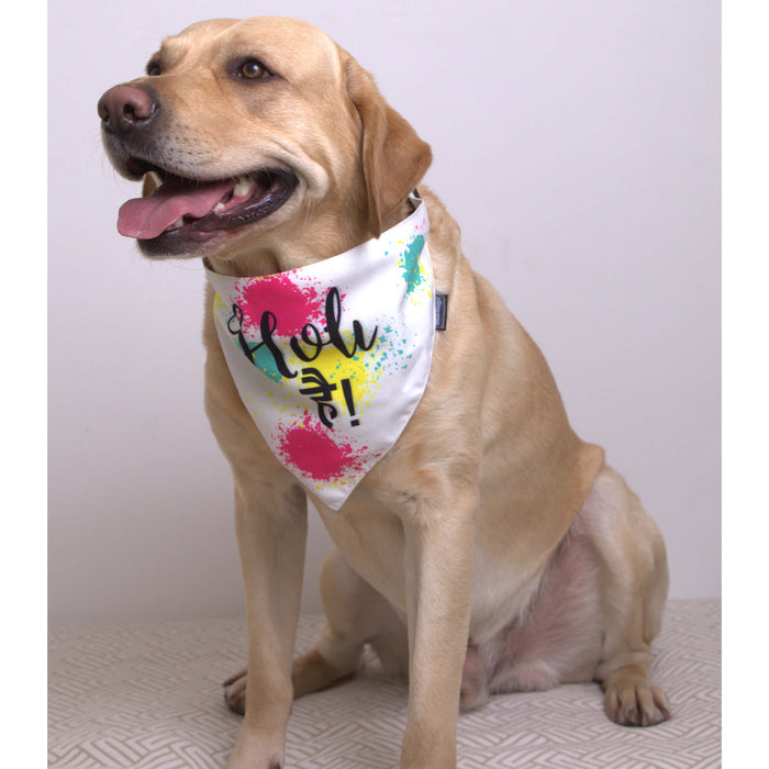 BearHugs Exclusive Holi Bandana for Dogs