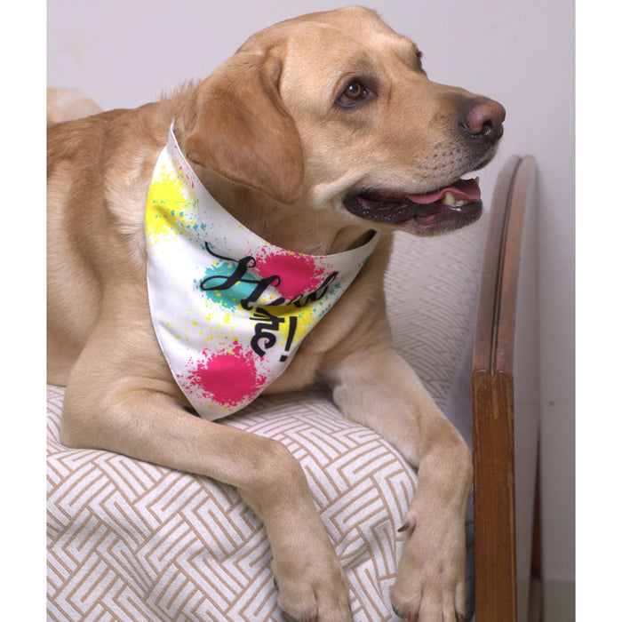 BearHugs Exclusive Holi Bandana for Dogs