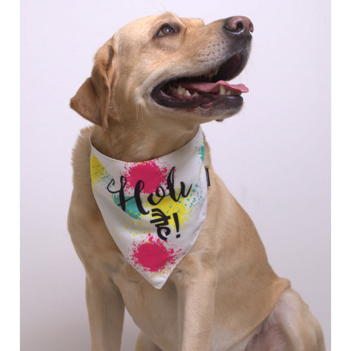 BearHugs Exclusive Holi Bandana for Dogs