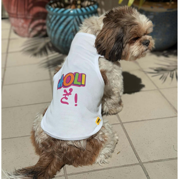 BearHugs Presents Happy Holi Tee for Dogs