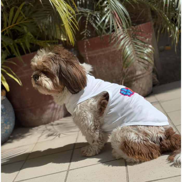 BearHugs Presents Happy Holi Tee for Dogs