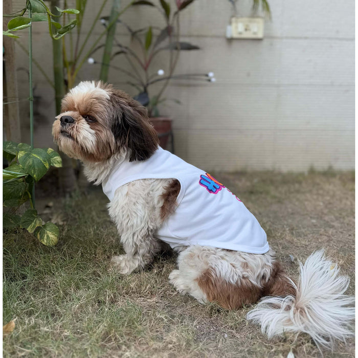 BearHugs Presents Happy Holi Tee for Dogs