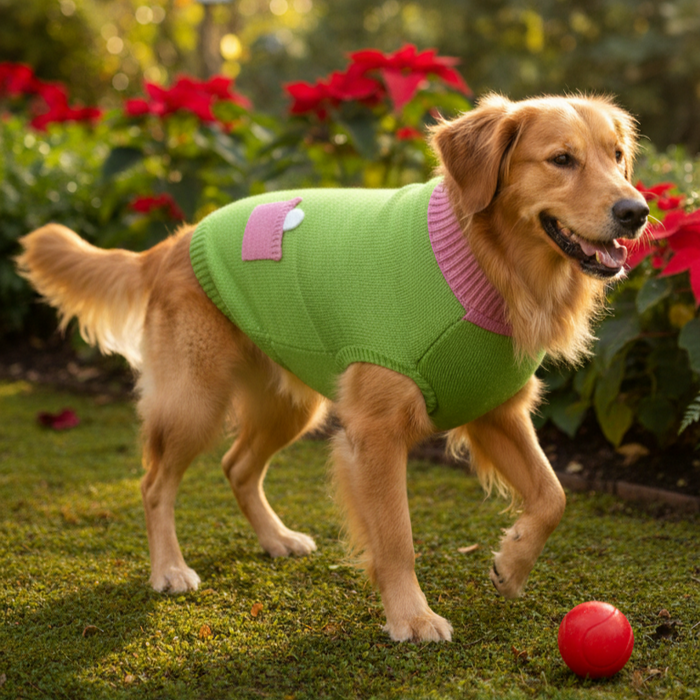 BearHugs Bone in Pocket Print Pet Sweater for Dogs