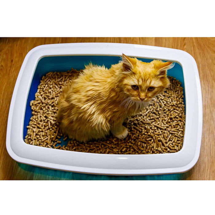 Trixie 38 × 11 × 50 cm Brisko Cat Litter Tray, with Rim - Assorted Color