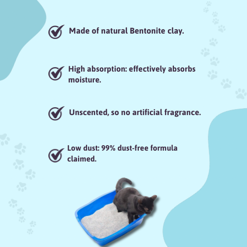 BearHugs Bentonite Clumping Cat Litter - Unscented - 5.8 Litres (Pack of 1)